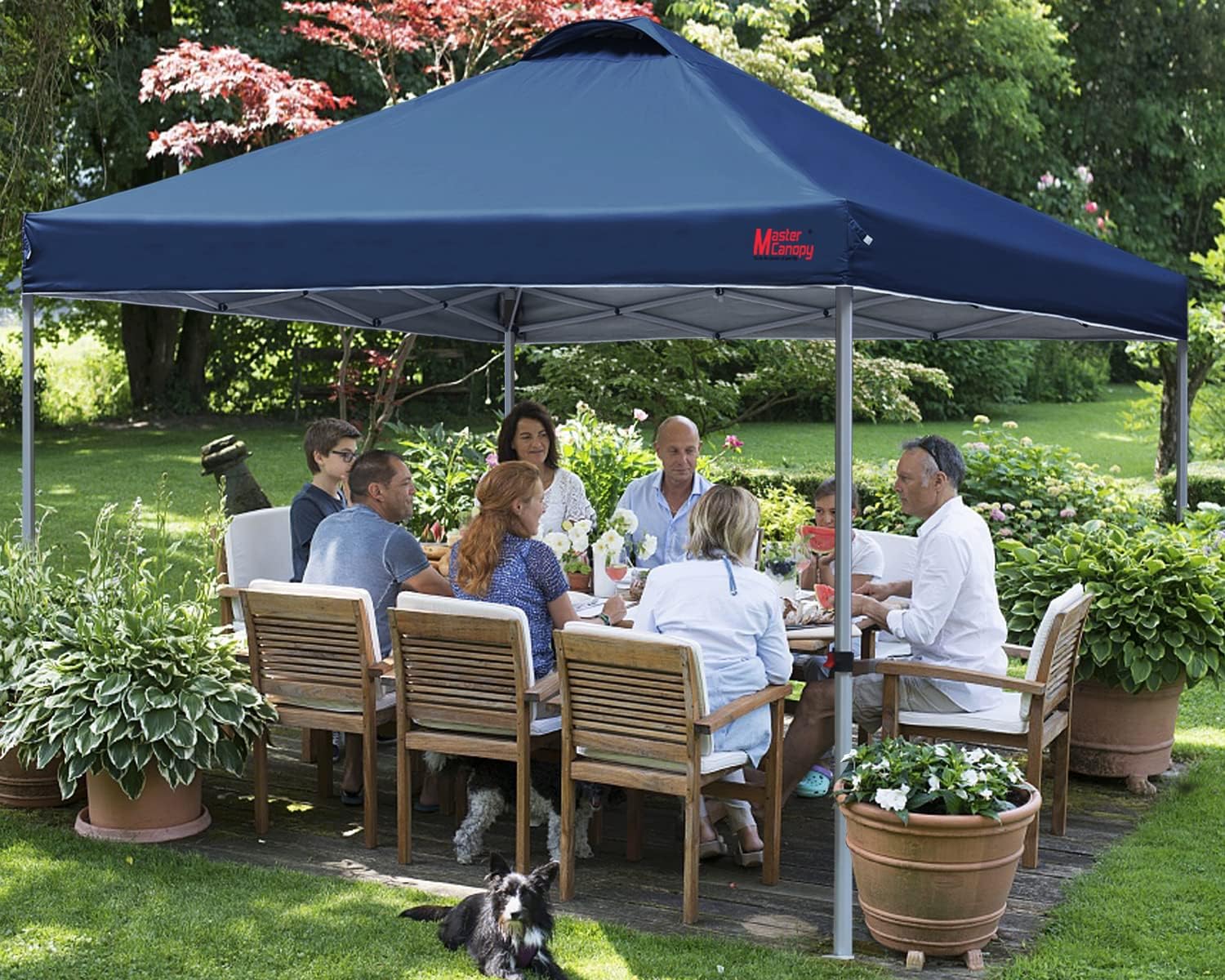 Durable Pop-up Canopy Tent with Roller Bag (10x10 Black) wourant