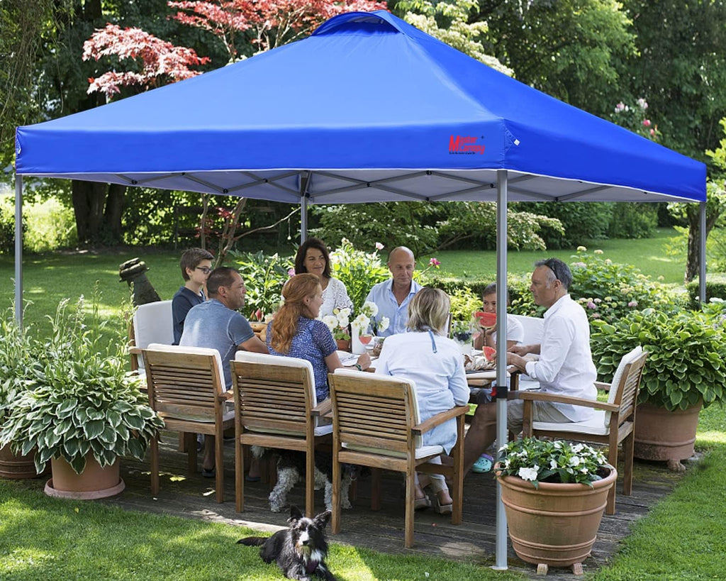 Durable Pop-up Canopy Tent with Roller Bag (10x10 Black) wourant