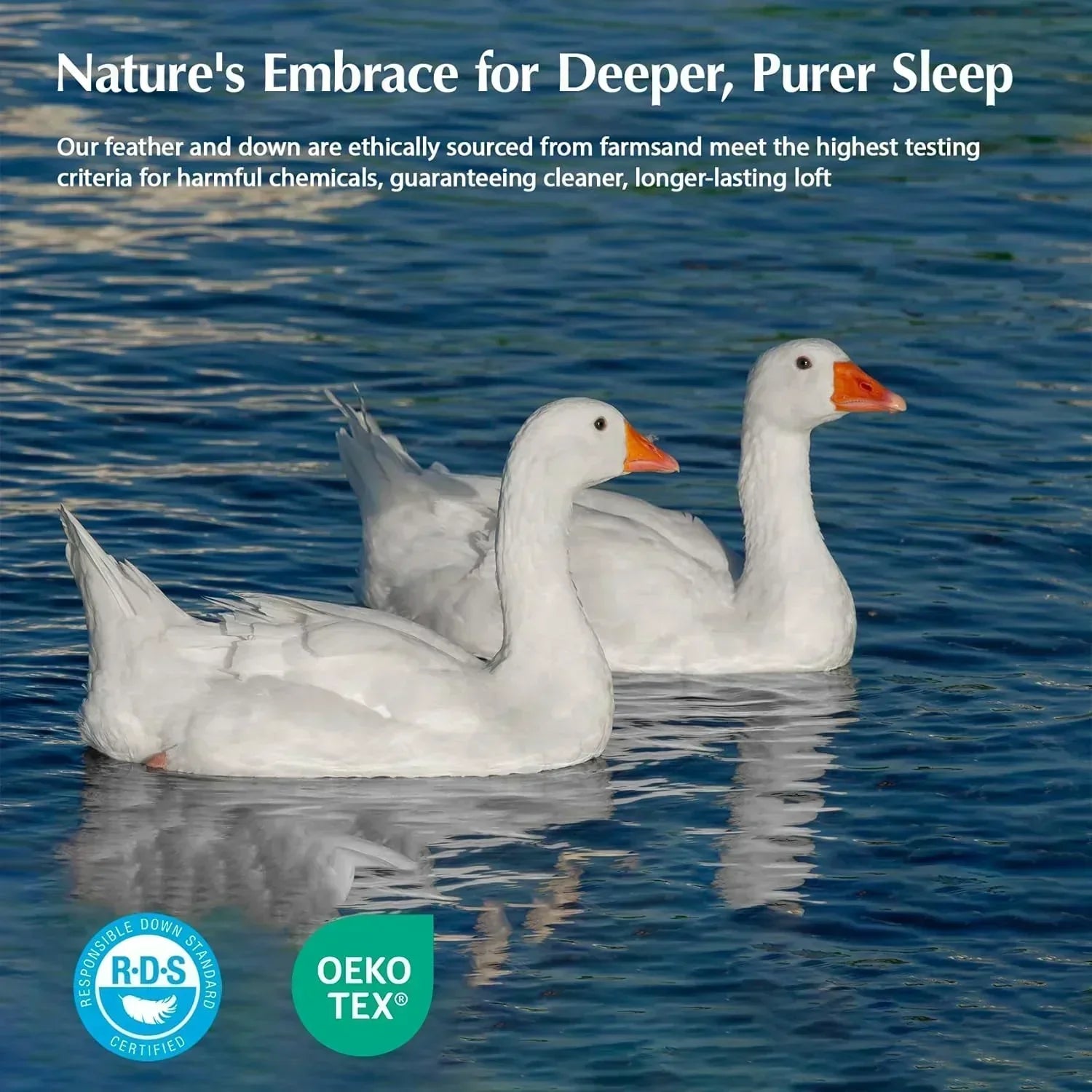 Goose feather duvet queen size cotton super fluffy white duvet core soft and breathable wourant