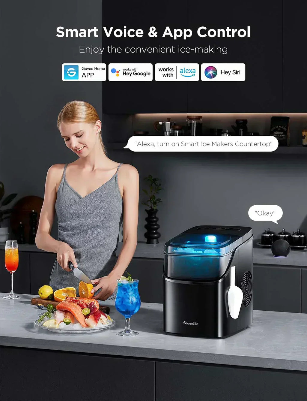 GoveeLife Smart Ice Maker Countertop Portable Ice Machine with Voice Control 9 Ice Cubes wourant