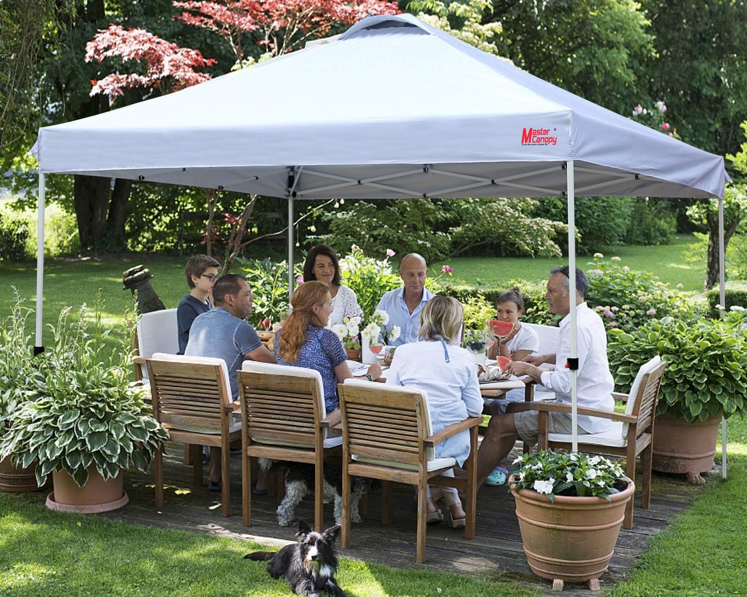 Durable Pop-up Canopy Tent with Roller Bag (10x10 Black) wourant