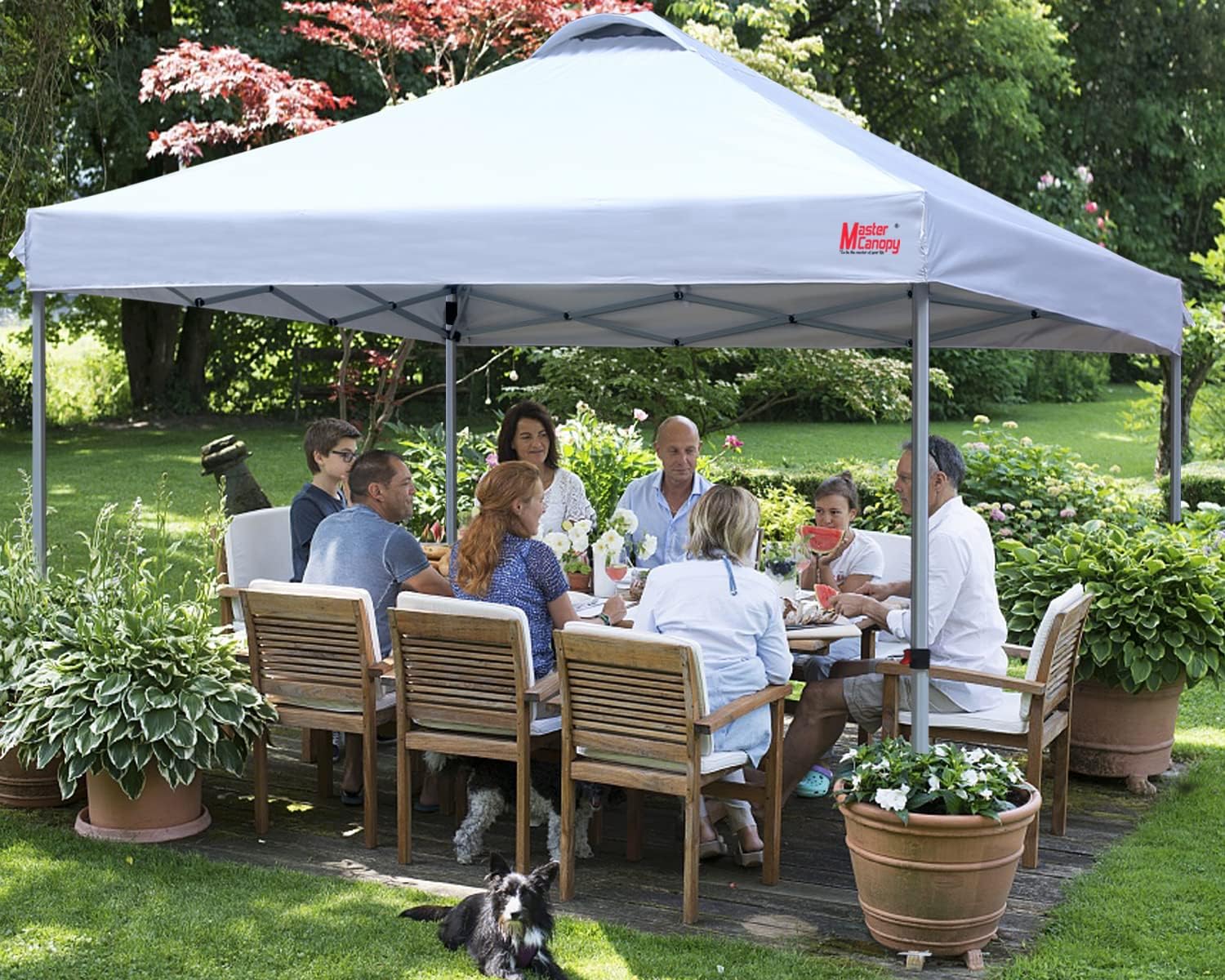 Durable Pop-up Canopy Tent with Roller Bag (10x10 Black) wourant
