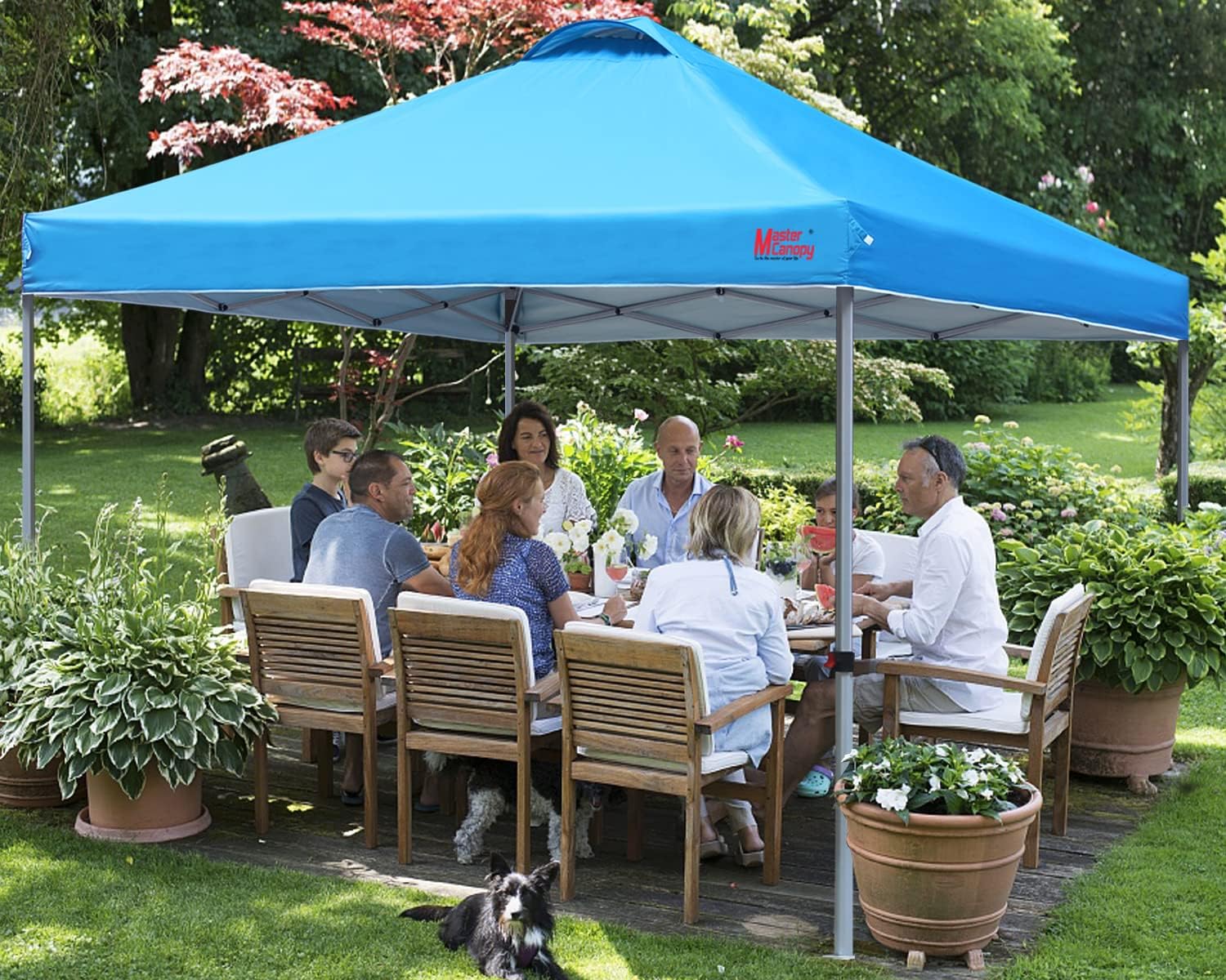 Durable Pop-up Canopy Tent with Roller Bag (10x10 Black) wourant