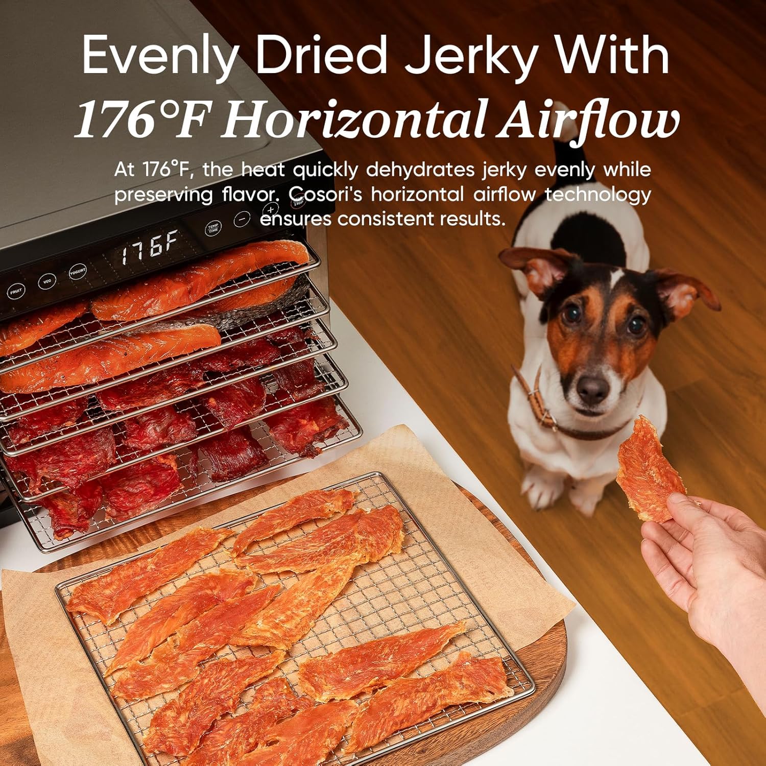 COSORI Food Dehydrator Bigger Than 7 Trays With Large 6.5" Drying Space 600W Power wourant
