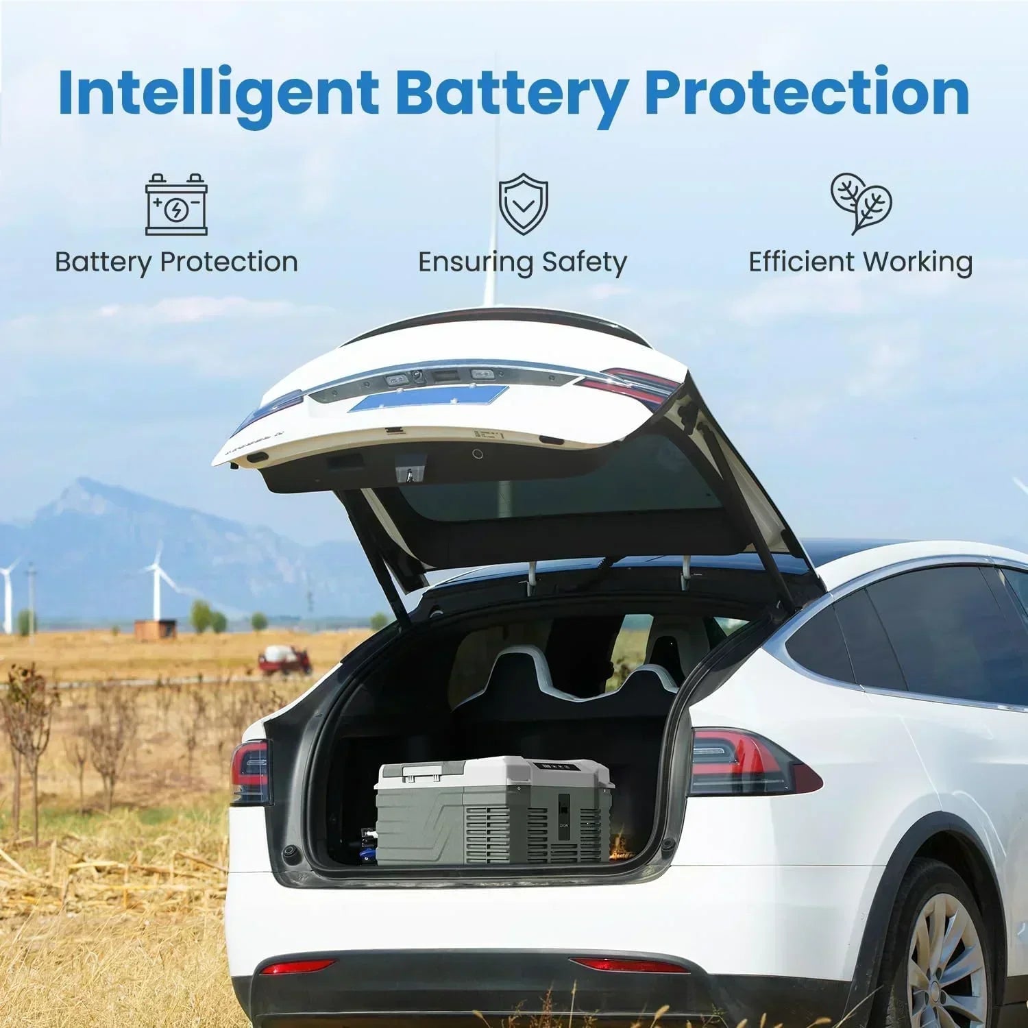 Alpicool 12 Volt Refrigerator 12V Car Fridge 10 Quart Small Car Refrigerator Portable Fridge 12/24V wourant