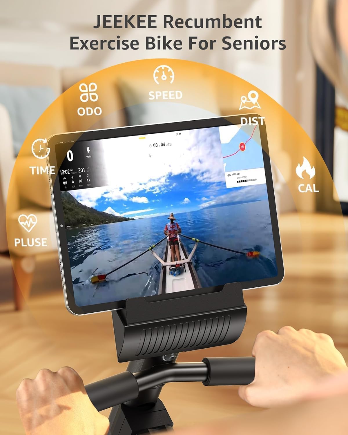 JEEKEE Recumbent Exercise Bike for Adults Seniors - Indoor Magnetic Cycling Fitness Equipment for Home Workout Black wourant