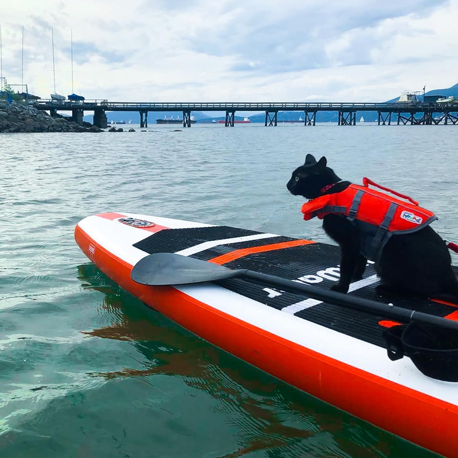 FunWater Inflatable Stand Up Paddle Board with Premium SUP Paddle Accessories, Non-Slip EVA Deck, 11'/10'6' Paddle wourant