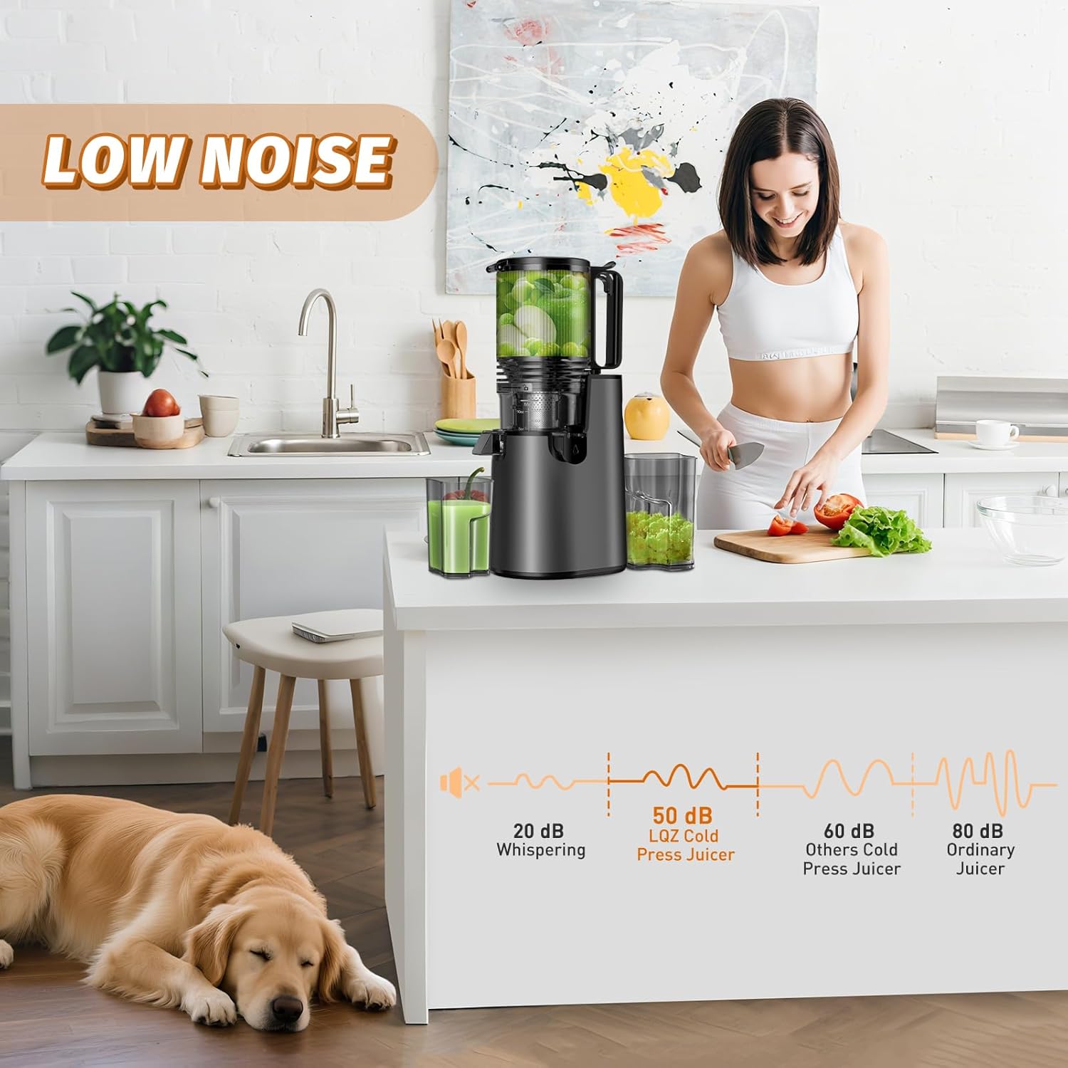 Cold Press Juicer Juicer Machines with 5.4" Wide Feed Chute Professional Slow Masticating Juicer wourant
