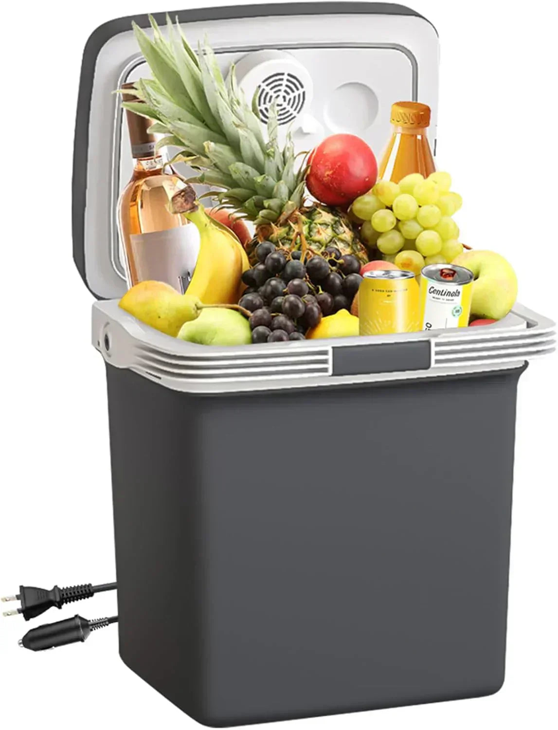 Electric Cooler & Warmer28QT/26L Portable Car Fridge Car Cooler Plug in Electric Car Coolers wourant