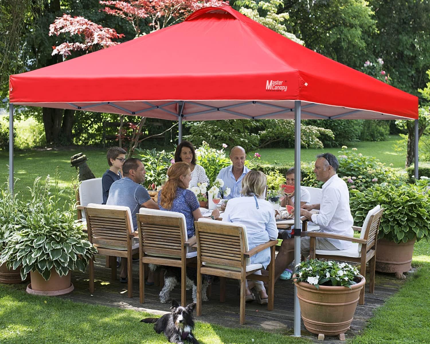 Durable Pop-up Canopy Tent with Roller Bag (10x10 Black) wourant