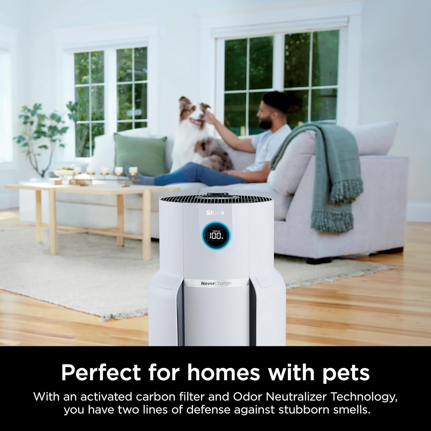 Air Purifier Compact Pro with Long-lasting HEPA Exceeding Filtration, For Pet Dander, Dust, Smoke, Allergens, Up to 250 sq. ft. wourant