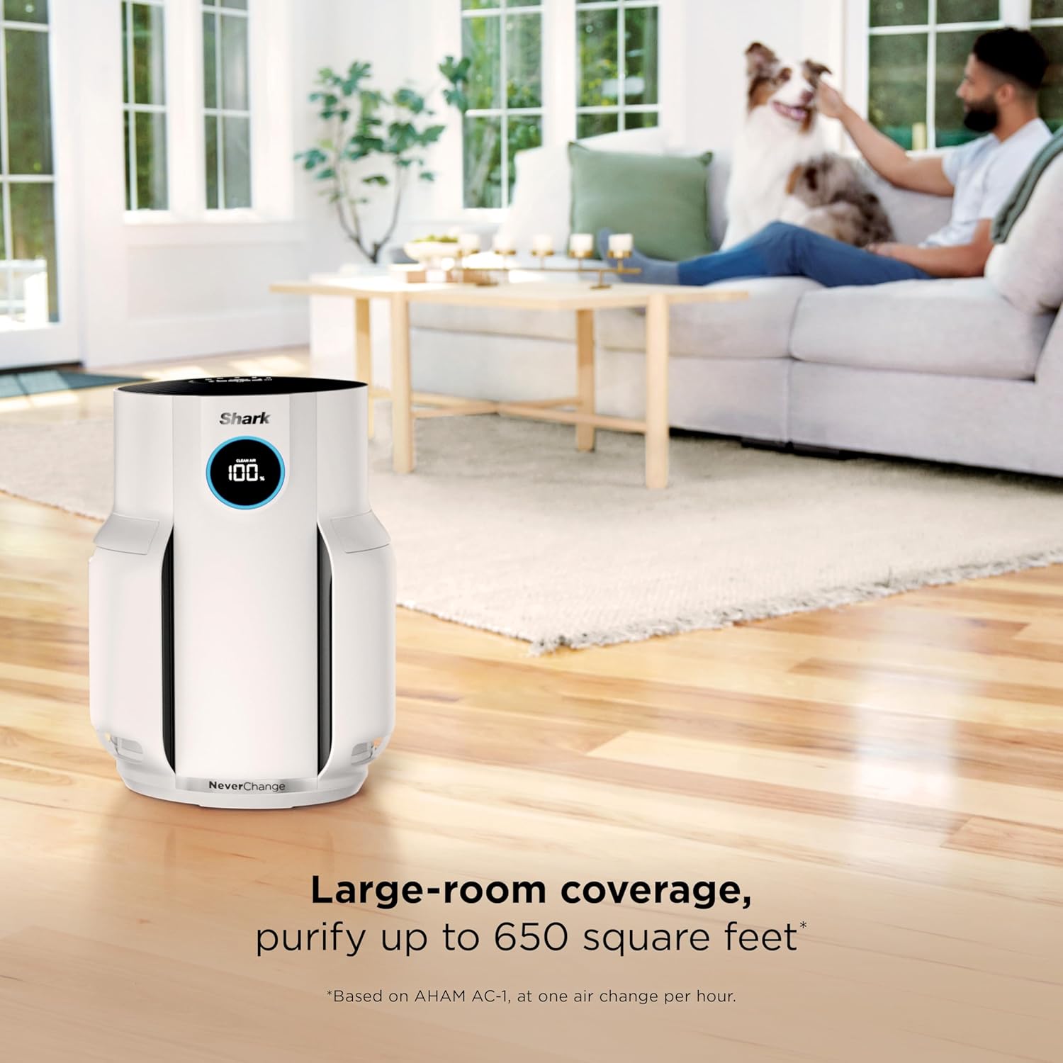 Air Purifier Compact Pro with Long-lasting HEPA Exceeding Filtration, For Pet Dander, Dust, Smoke, Allergens, Up to 250 sq. ft. wourant