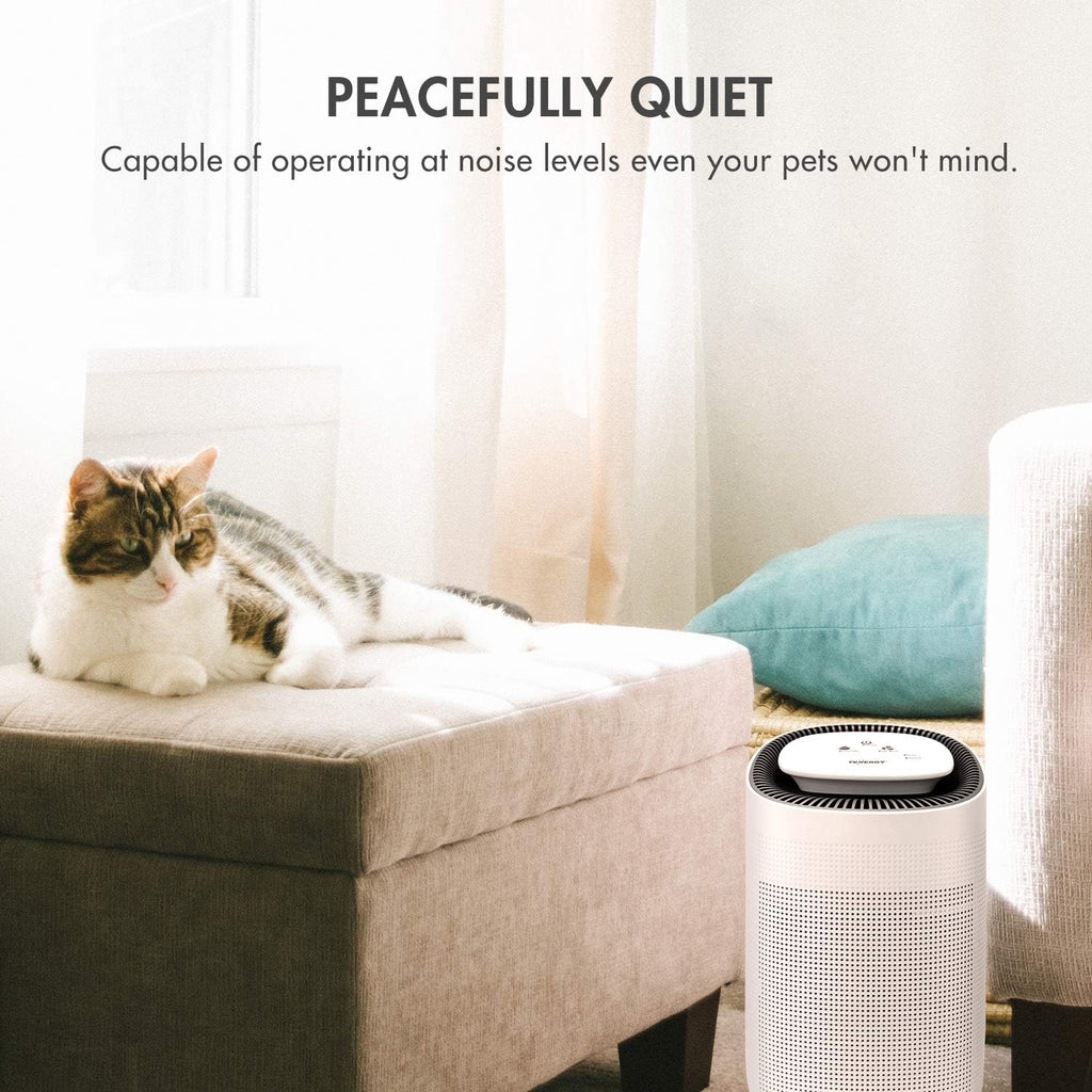 Sorbi 1000ml Air Dehumidifier w/Purifying Function, True HEPA Filter, Auto Shutoff, Touch Control Adjustable Air Speed, Ultra-Quiet, Ideal for Closets & Bathrooms wourant
