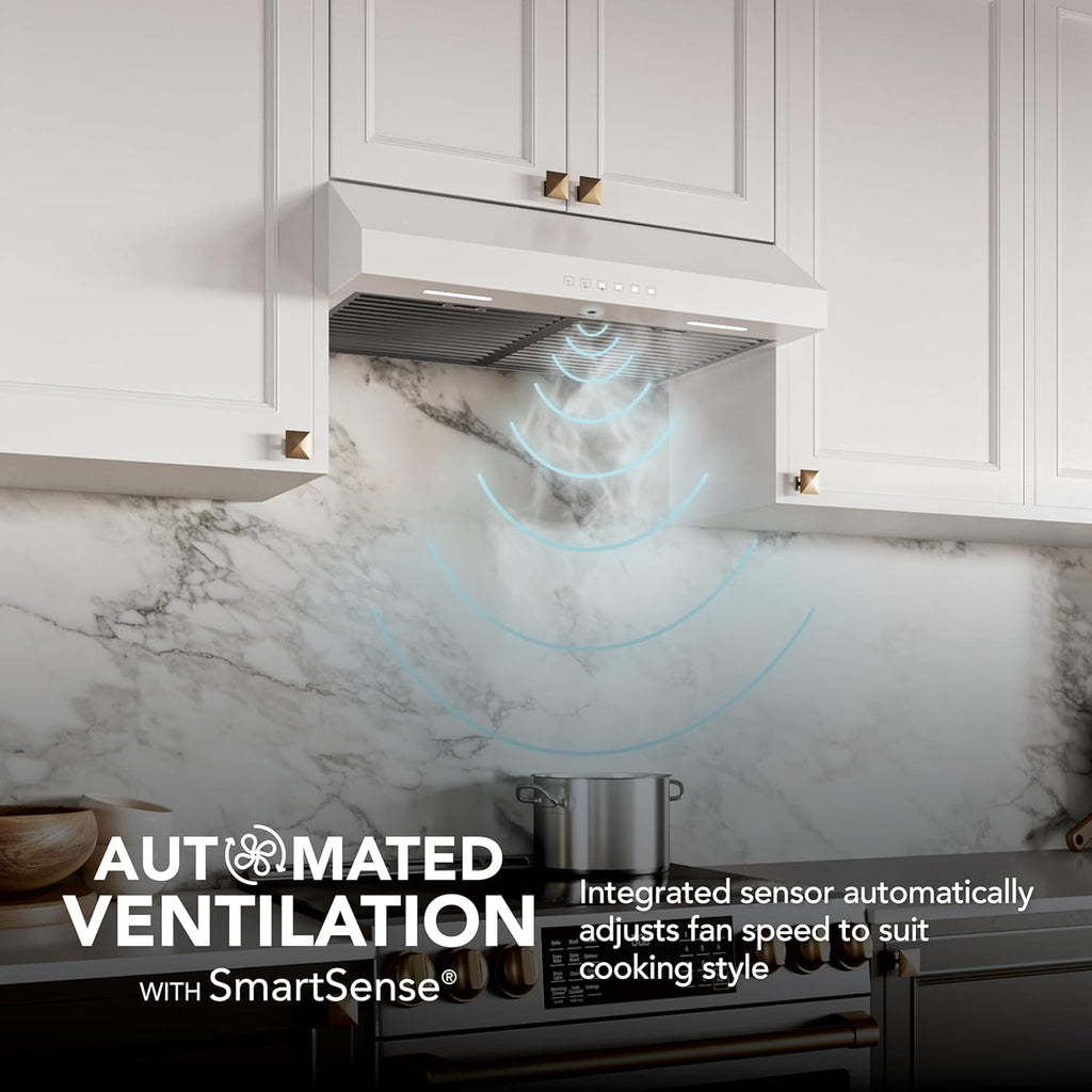 Broan-NuTone Three-Speed Glacier Undercabinet Range Hood with LED Light, ADA Compliant wourant