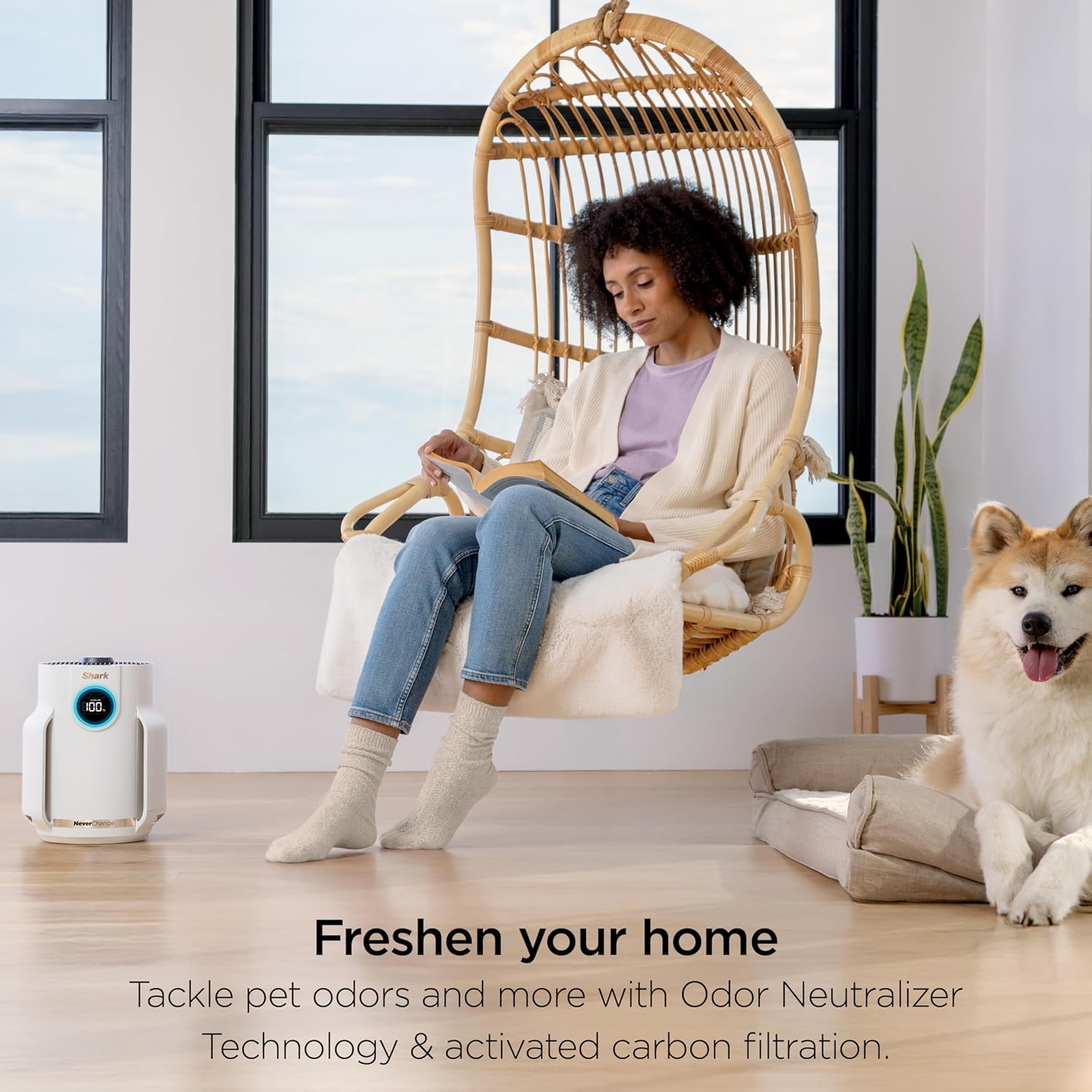 Air Purifier Compact Pro with Long-lasting HEPA Exceeding Filtration, For Pet Dander, Dust, Smoke, Allergens, Up to 250 sq. ft. wourant