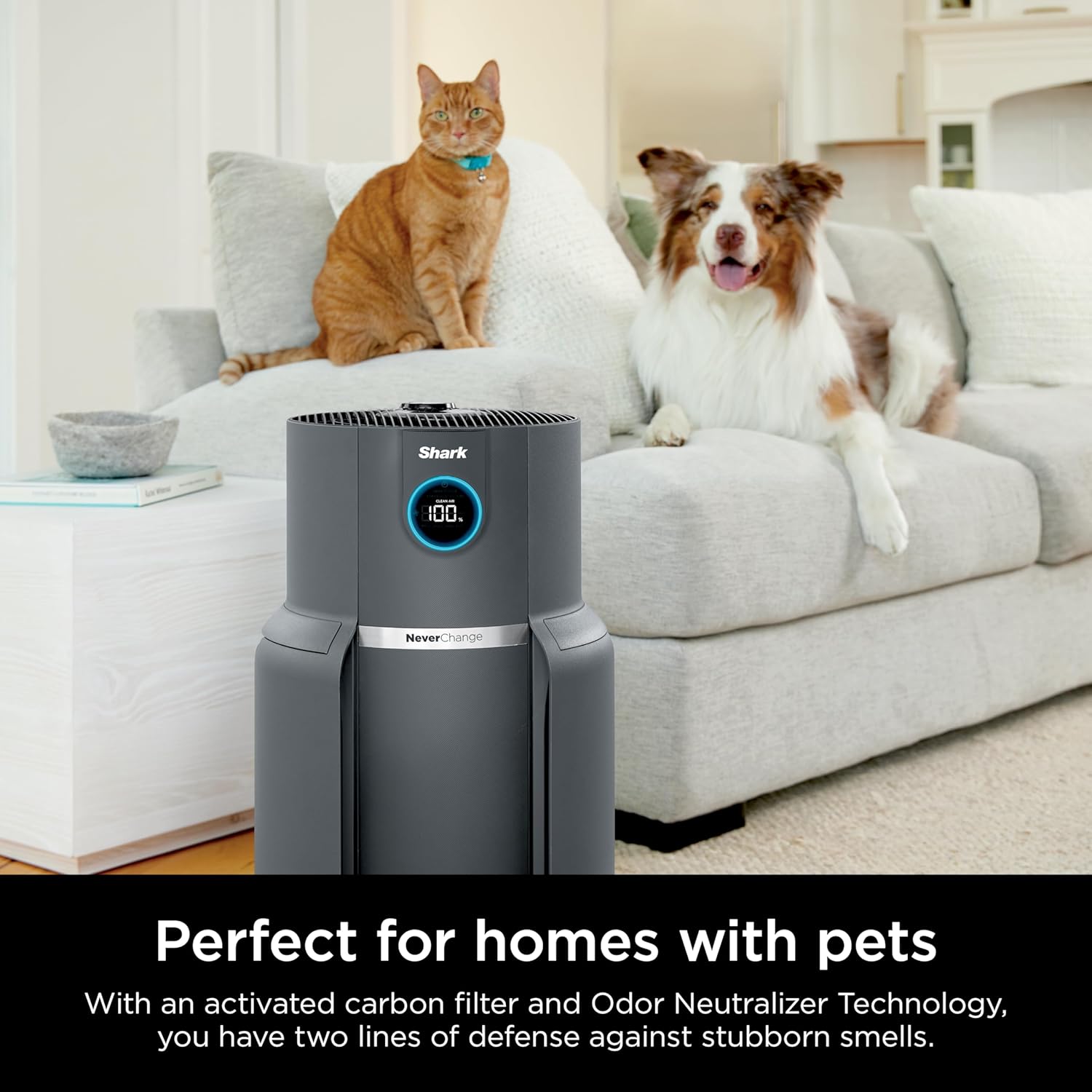 Air Purifier Compact Pro with Long-lasting HEPA Exceeding Filtration, For Pet Dander, Dust, Smoke, Allergens, Up to 250 sq. ft. wourant