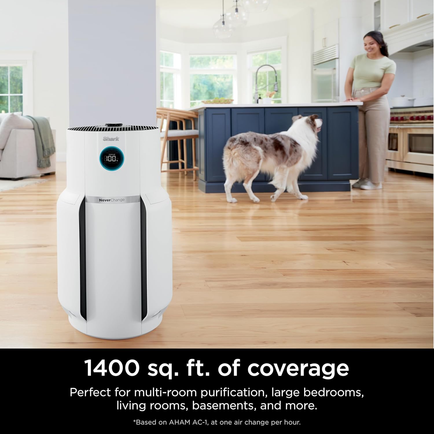 Air Purifier Compact Pro with Long-lasting HEPA Exceeding Filtration, For Pet Dander, Dust, Smoke, Allergens, Up to 250 sq. ft. wourant