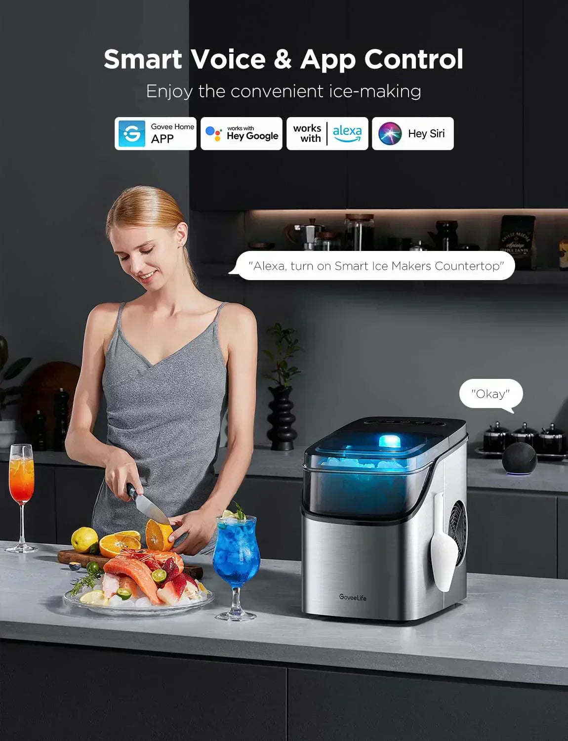 GoveeLife Smart Ice Maker Countertop Portable Ice Machine with Voice Control 9 Ice Cubes wourant