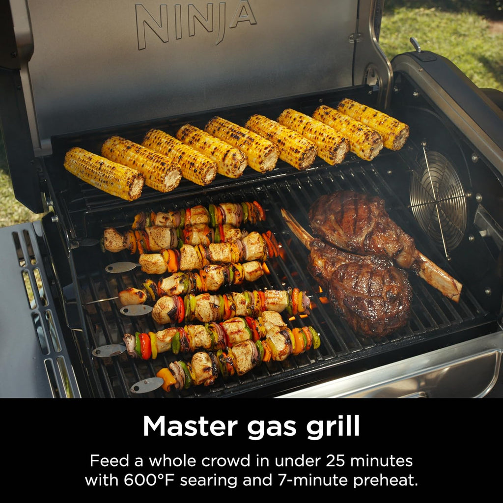 Ninja FlexFlame, Grill and Smoker, Electric and Propane Grill, Roaster, BBQ Grill, 5-in-1 Cooking System, 3 Burner, Digital Control, Outdoor Cooking, Griddle, Pizza Maker, Stainless Steel, PG301 wourant
