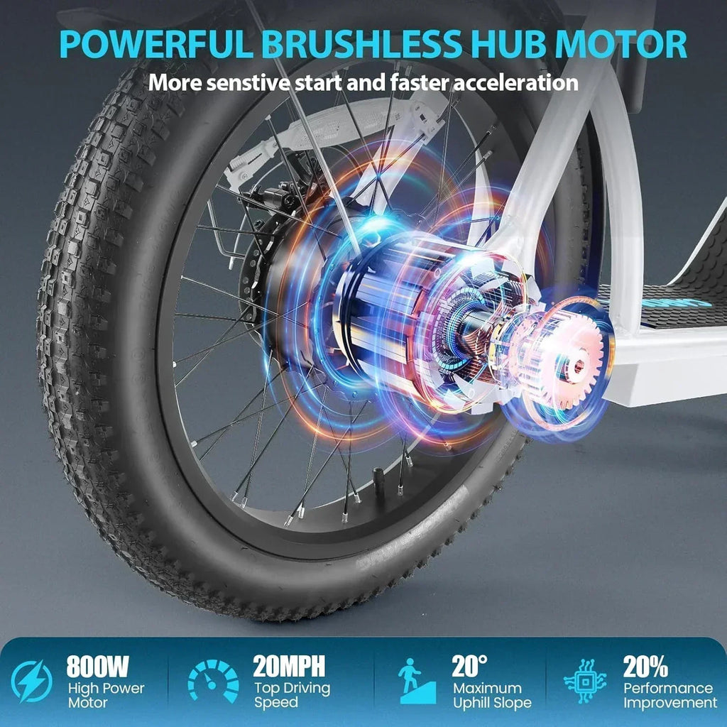 Caroma Peak 800W Foldable Adult Electric Scooter with 20-inch Wide Tires 48V Battery Basket wourant