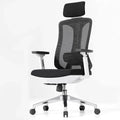 Ergonomic Desk Office Chair High Back Mesh Computer Chair with 3D Armrest wourant