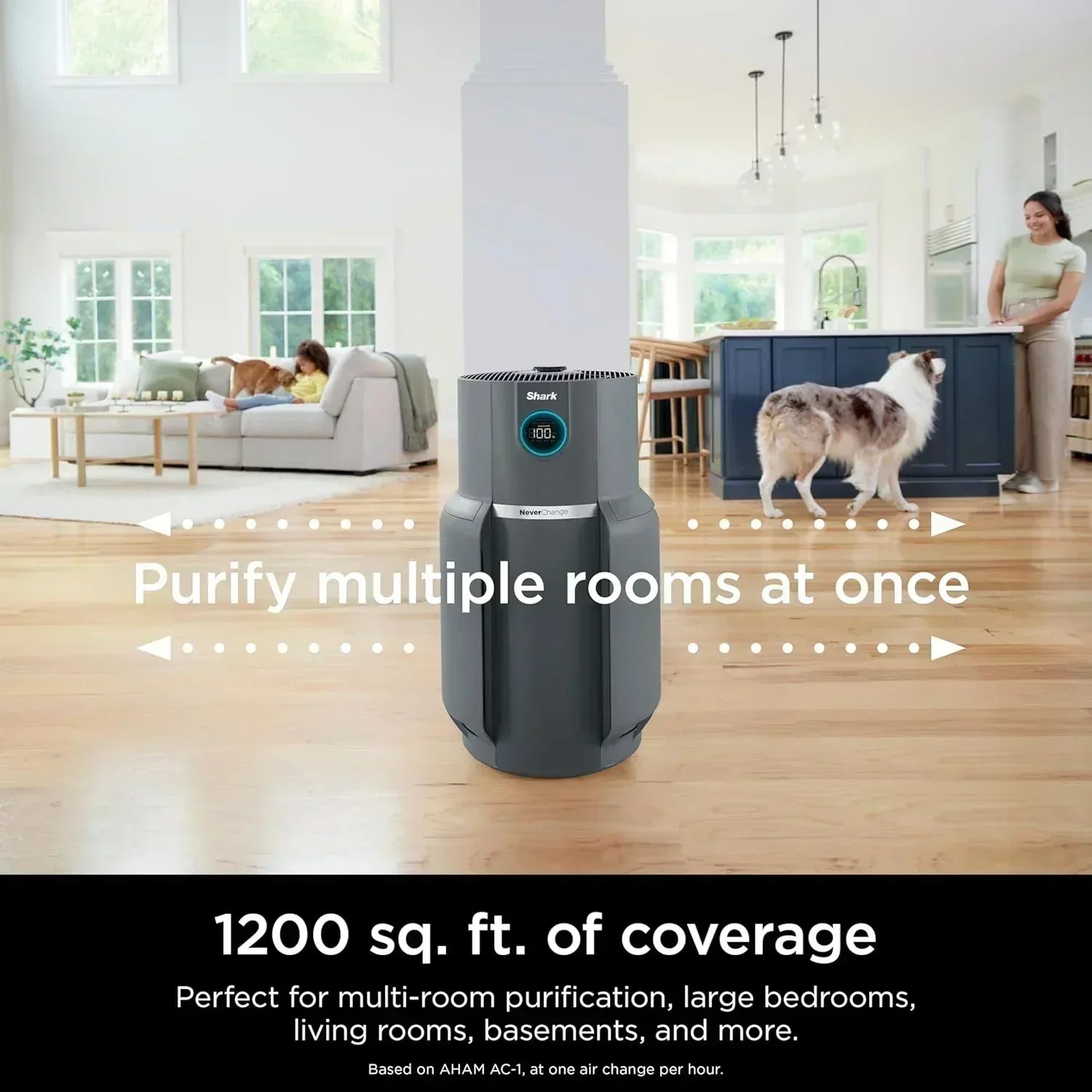 Air Purifier Compact Pro with Long-lasting HEPA Exceeding Filtration For Pet Dander Dust Smoke wourant
