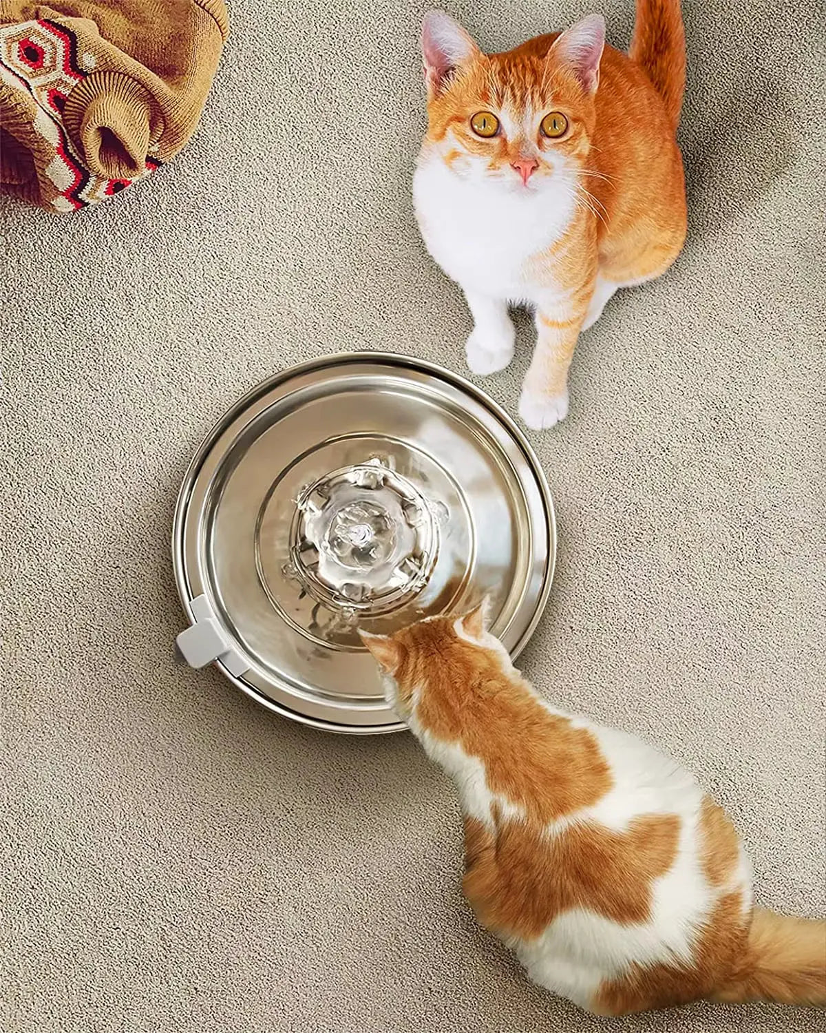 Automatic Pet Water Fountain 2L Stainless Steel Bowl with Filter and Quiet Pump for Cats and Dogs wourant